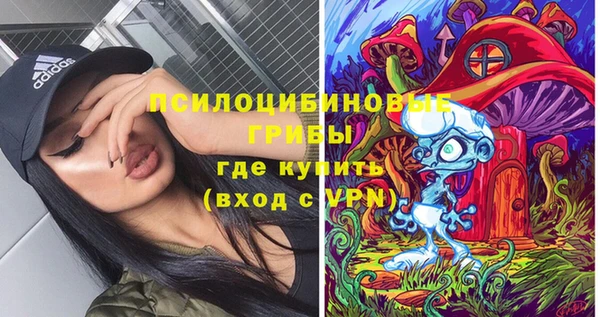 бутират Алзамай
