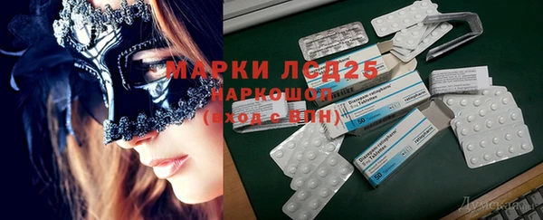 стафф Арсеньев