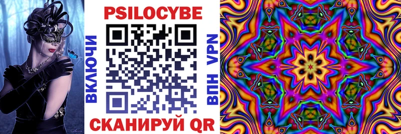 Псилоцибиновые грибы Psilocybe Коломна